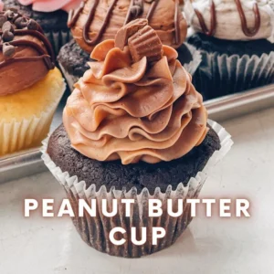 Peanut Butter and Fudge Cupcake