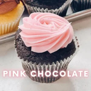 Pink Chocolate Cupcake