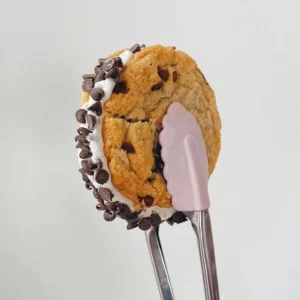Chocolate Chip Cookie Sandwich